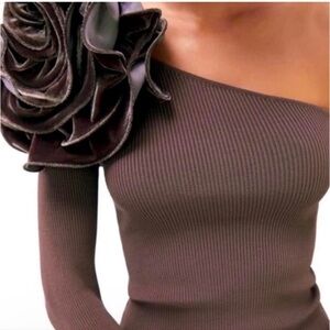 ZARA Soft Brown Stretch Knit Ribbed One Shoulder Large Velvet Flower Top